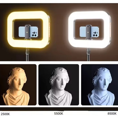 Soporte de Luz Rectangular YM-200